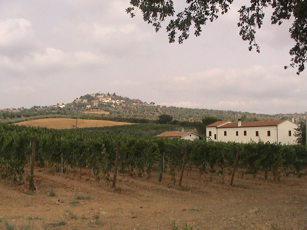 Agriturismo Vigna Mai Magliano in Toscana Buitenkant foto