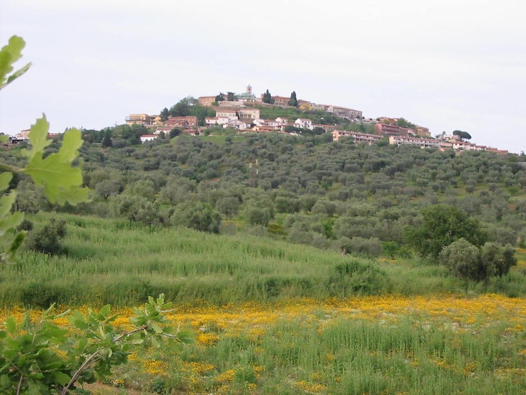 Agriturismo Vigna Mai Magliano in Toscana Buitenkant foto