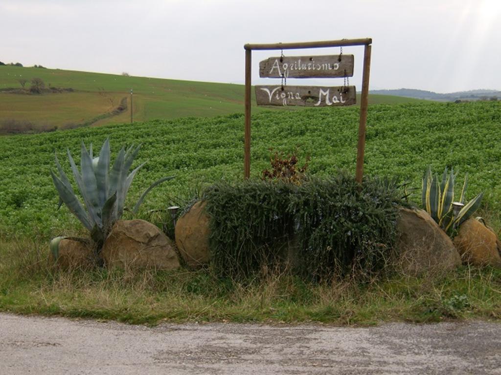Agriturismo Vigna Mai Magliano in Toscana Buitenkant foto